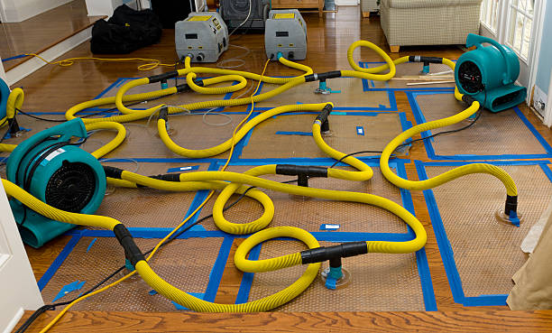 Professional Crawl Space Water Removal technician working in Custer, MI